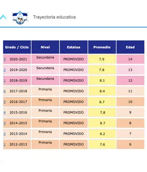Calificaciones primaria guanajuato