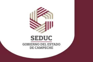 App SEDUC Consulta Escolar